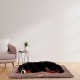 Ferplast Jolly Dog and Cat Mat, Washable Dog Bed, Dog Cushion, Waterproof and Scratch-Resistant, Mat for Dog Kennels, Car, Dog Basket, 83 x 50 cm, M, Brown Ferplast Jolly Dog and Cat Mat, Washable Dog Bed, Dog Cushion, Waterproof and Scratch-Resistant, Mat for Dog Kennels, Car, Dog Basket, 83 x 50 cm, M, Brown