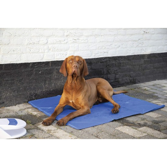 Flamingo cooling mat for dogs Fresk, 50 x 40 cm Flamingo cooling mat for dogs Fresk, 50 x 40 cm