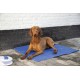 Flamingo cooling mat for dogs Fresk, 50 x 40 cm Flamingo cooling mat for dogs Fresk, 50 x 40 cm