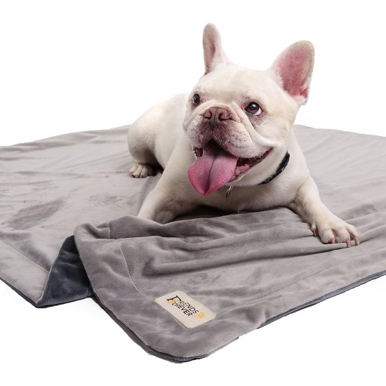 Friends Forever Heavy Duty Dog Blanket for Couch Protector, Two Tone Reversible Pet Hair Resistant Blanket for Dogs, Cats, Bed, Kennel, Crate, Car Seat, Soft Velvet, Warm Fleece (Large, 130X Friends Forever Heavy Duty Dog Blanket for Couch Protector, Two Tone Reversible Pet Hair Resistant Blanket for Dogs, Cats, Bed, Kennel, Crate, Car Seat, Soft Velvet, Warm Fleece (Large, 130X