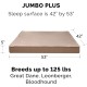 Furhaven Extra Soft Replacement Faux Fur Suede Dog Bed Cover Large Cream Furhaven Extra Soft Replacement Faux Fur Suede Dog Bed Cover Large Cream