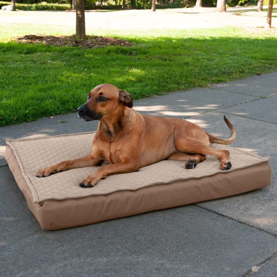 Furhaven Extra Soft Replacement Faux Fur Suede Dog Bed Cover Large Cream Furhaven Extra Soft Replacement Faux Fur Suede Dog Bed Cover Large Cream