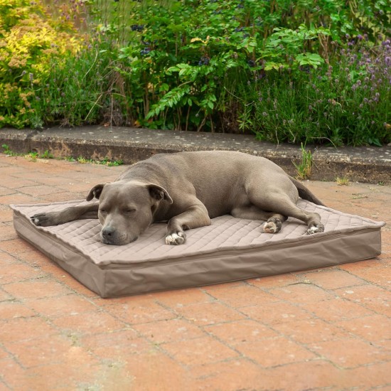 Furhaven Extra Soft Replacement Faux Fur Suede Dog Bed Cover Large Cream Furhaven Extra Soft Replacement Faux Fur Suede Dog Bed Cover Large Cream