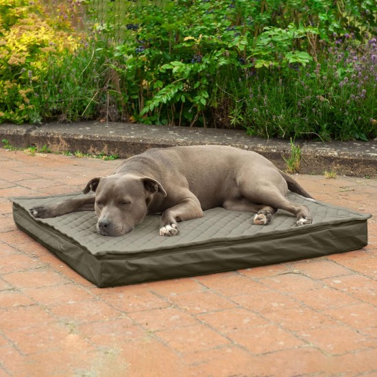 Furhaven Extra Soft Replacement Faux Fur Suede Dog Bed Cover Large Cream Furhaven Extra Soft Replacement Faux Fur Suede Dog Bed Cover Large Cream