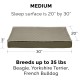 Furhaven Extra Soft Replacement Faux Fur Suede Dog Bed Cover Large Cream Furhaven Extra Soft Replacement Faux Fur Suede Dog Bed Cover Large Cream