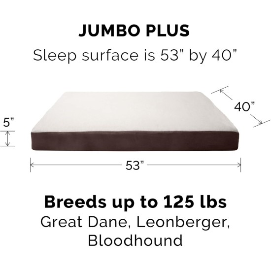 Furhaven Extra Soft Replacement Faux Fur Suede Dog Bed Cover Large Cream Furhaven Extra Soft Replacement Faux Fur Suede Dog Bed Cover Large Cream