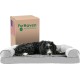 Furhaven Pet Faux Fur & Velvet Memory Top Sofa Pet Bed, Medium, Dark Sage Furhaven Pet Faux Fur & Velvet Memory Top Sofa Pet Bed, Medium, Dark Sage