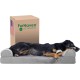Furhaven Pet Faux Fur & Velvet Memory Top Sofa Pet Bed, Medium, Dark Sage Furhaven Pet Faux Fur & Velvet Memory Top Sofa Pet Bed, Medium, Dark Sage