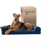 Furhaven Pet Faux Fur & Velvet Memory Top Sofa Pet Bed, Medium, Dark Sage Furhaven Pet Faux Fur & Velvet Memory Top Sofa Pet Bed, Medium, Dark Sage