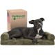 Furhaven Pet Faux Fur & Velvet Memory Top Sofa Pet Bed, Medium, Dark Sage Furhaven Pet Faux Fur & Velvet Memory Top Sofa Pet Bed, Medium, Dark Sage