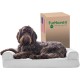 Furhaven Pet Faux Fur & Velvet Memory Top Sofa Pet Bed, Medium, Dark Sage Furhaven Pet Faux Fur & Velvet Memory Top Sofa Pet Bed, Medium, Dark Sage