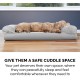 Furhaven Pet Faux Fur & Velvet Memory Top Sofa Pet Bed, Medium, Dark Sage Furhaven Pet Faux Fur & Velvet Memory Top Sofa Pet Bed, Medium, Dark Sage