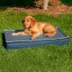 Furhaven Replacement Dog Bed Cover Water Resistant Indoor Outdoor Logo Print Maroon Large Furhaven Replacement Dog Bed Cover Water Resistant Indoor Outdoor Logo Print Maroon Large