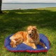 Furhaven Replacement Two Tone Faux Fur Suede L Shape Dog Bed Cover Machine Washable Stone Grey Medium Furhaven Replacement Two Tone Faux Fur Suede L Shape Dog Bed Cover Machine Washable Stone Grey Medium