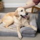 Furhaven Replacement Two Tone Faux Fur Suede L Shape Dog Bed Cover Machine Washable Stone Grey Medium Furhaven Replacement Two Tone Faux Fur Suede L Shape Dog Bed Cover Machine Washable Stone Grey Medium