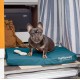 Furhaven Ultra Plush Replacement Faux Fur & Suede Dog Bed Cover Chocolate Brown Large Furhaven Ultra Plush Replacement Faux Fur & Suede Dog Bed Cover Chocolate Brown Large