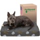 Furhaven Ultra Plush Replacement Faux Fur & Suede Dog Bed Cover Chocolate Brown Large Furhaven Ultra Plush Replacement Faux Fur & Suede Dog Bed Cover Chocolate Brown Large