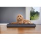 Furhaven Ultra Plush Replacement Faux Fur & Suede Dog Bed Cover Chocolate Brown Large Furhaven Ultra Plush Replacement Faux Fur & Suede Dog Bed Cover Chocolate Brown Large
