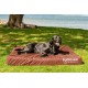 Furhaven Water Resistant Replacement Cover for Dog Bed Indoor Outdoor Logo Print Stone Grey Large Furhaven Water Resistant Replacement Cover for Dog Bed Indoor Outdoor Logo Print Stone Grey Large