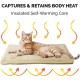 Furhaven Waterproof and Self Warming Throw Blanket for Dogs and House Cats, Washable and Reflects Body Heat, Terry Cloth and Sherpa Dog Blanket, Cozy Denim, Medium Furhaven Waterproof and Self Warming Throw Blanket for Dogs and House Cats, Washable and Reflects Body Heat, Terry Cloth and Sherpa Dog Blanket, Cozy Denim, Medium