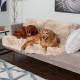 Furhaven XL Waterproof Calming Plush Long Faux Fur & Velvet Dog Blanket, Washable, Taupe, Extra Large Furhaven XL Waterproof Calming Plush Long Faux Fur & Velvet Dog Blanket, Washable, Taupe, Extra Large