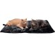 Furhaven XL Waterproof Calming Plush Long Faux Fur & Velvet Dog Blanket, Washable, Taupe, Extra Large Furhaven XL Waterproof Calming Plush Long Faux Fur & Velvet Dog Blanket, Washable, Taupe, Extra Large