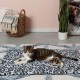 Furhaven XL Waterproof Calming Plush Long Faux Fur & Velvet Dog Blanket, Washable, Taupe, Extra Large Furhaven XL Waterproof Calming Plush Long Faux Fur & Velvet Dog Blanket, Washable, Taupe, Extra Large