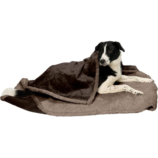 Furhaven XL Waterproof Two-Tone Luxe Velvet Dog Blanket, Washable, Celadon Green, Extra Large Furhaven XL Waterproof Two-Tone Luxe Velvet Dog Blanket, Washable, Celadon Green, Extra Large