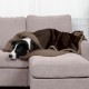 Furhaven XL Waterproof Two-Tone Luxe Velvet Dog Blanket, Washable, Celadon Green, Extra Large
