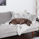 Furhaven XL Waterproof Two-Tone Luxe Velvet Dog Blanket, Washable, Celadon Green, Extra Large