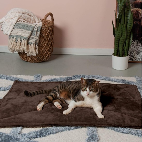 Furhaven XL Waterproof Two-Tone Luxe Velvet Dog Blanket, Washable, Celadon Green, Extra Large Furhaven XL Waterproof Two-Tone Luxe Velvet Dog Blanket, Washable, Celadon Green, Extra Large