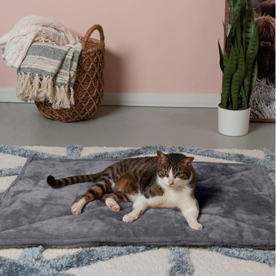 Furhaven XL Waterproof Two-Tone Luxe Velvet Dog Blanket, Washable, Celadon Green, Extra Large Furhaven XL Waterproof Two-Tone Luxe Velvet Dog Blanket, Washable, Celadon Green, Extra Large
