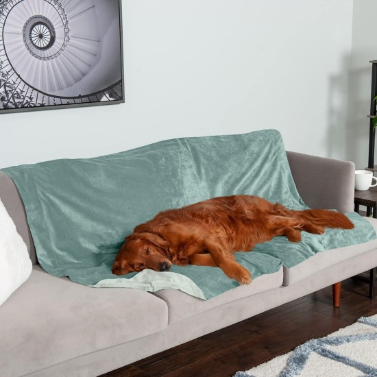 Furhaven XL Waterproof Two-Tone Luxe Velvet Dog Blanket, Washable, Celadon Green, Extra Large Furhaven XL Waterproof Two-Tone Luxe Velvet Dog Blanket, Washable, Celadon Green, Extra Large