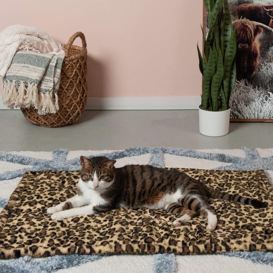 Furhaven XL Waterproof Two-Tone Luxe Velvet Dog Blanket, Washable, Celadon Green, Extra Large Furhaven XL Waterproof Two-Tone Luxe Velvet Dog Blanket, Washable, Celadon Green, Extra Large
