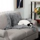 Furhaven XL Waterproof Two-Tone Luxe Velvet Dog Blanket, Washable, Celadon Green, Extra Large