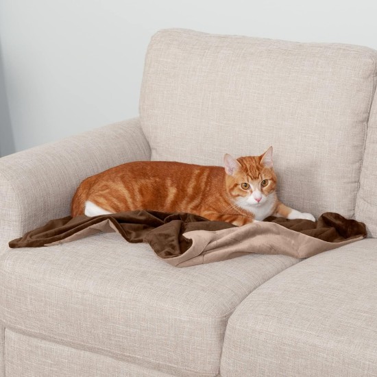Furhaven XL Waterproof Two-Tone Luxe Velvet Dog Blanket, Washable, Celadon Green, Extra Large Furhaven XL Waterproof Two-Tone Luxe Velvet Dog Blanket, Washable, Celadon Green, Extra Large