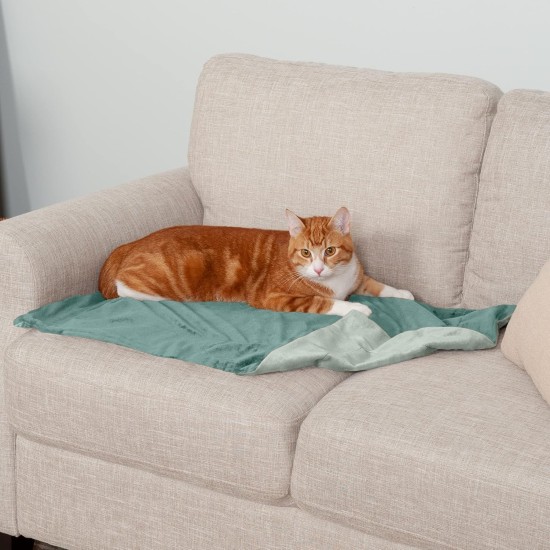 Furhaven XL Waterproof Two-Tone Luxe Velvet Dog Blanket, Washable, Celadon Green, Extra Large Furhaven XL Waterproof Two-Tone Luxe Velvet Dog Blanket, Washable, Celadon Green, Extra Large