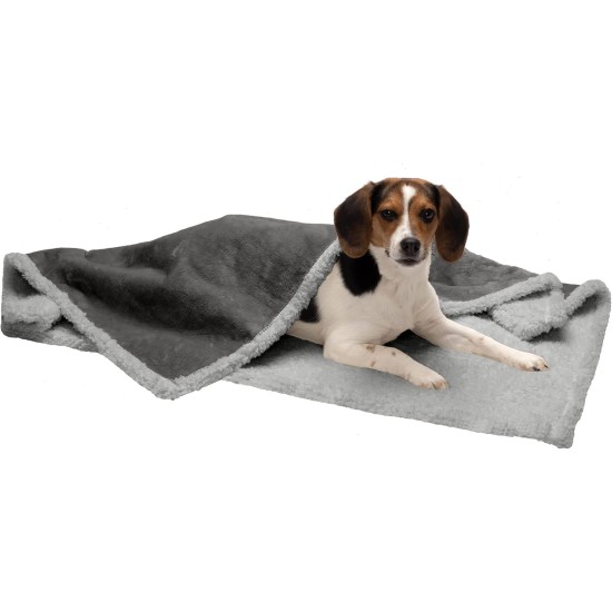 Furhaven XL Waterproof Two-Tone Luxe Velvet Dog Blanket, Washable, Celadon Green, Extra Large Furhaven XL Waterproof Two-Tone Luxe Velvet Dog Blanket, Washable, Celadon Green, Extra Large