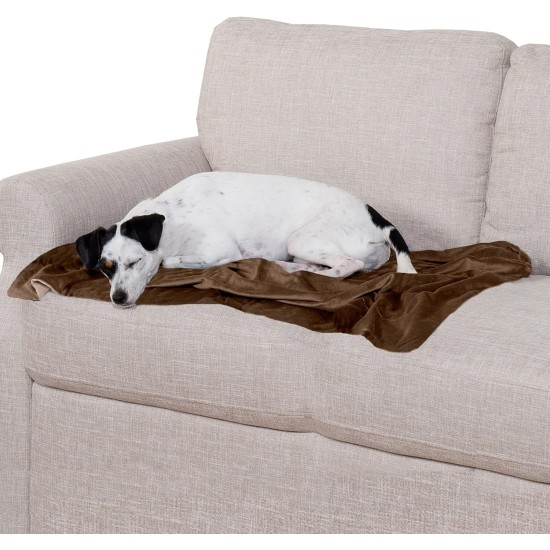Furhaven XL Waterproof Two-Tone Luxe Velvet Dog Blanket, Washable, Celadon Green, Extra Large Furhaven XL Waterproof Two-Tone Luxe Velvet Dog Blanket, Washable, Celadon Green, Extra Large