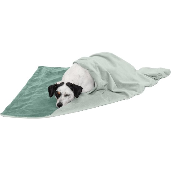 Furhaven XL Waterproof Two-Tone Luxe Velvet Dog Blanket, Washable, Celadon Green, Extra Large Furhaven XL Waterproof Two-Tone Luxe Velvet Dog Blanket, Washable, Celadon Green, Extra Large