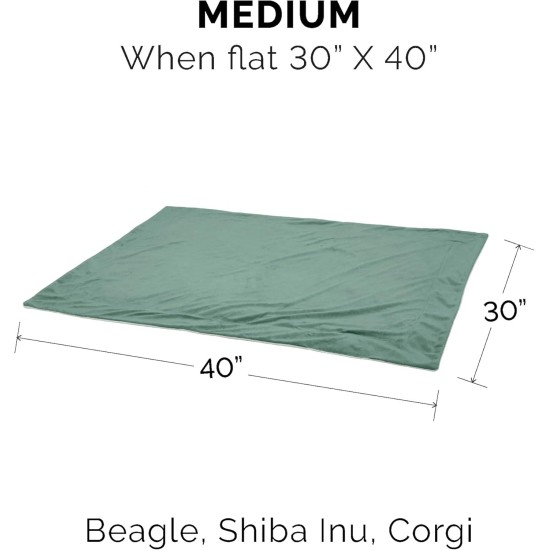 Furhaven XL Waterproof Two-Tone Luxe Velvet Dog Blanket, Washable, Celadon Green, Extra Large Furhaven XL Waterproof Two-Tone Luxe Velvet Dog Blanket, Washable, Celadon Green, Extra Large