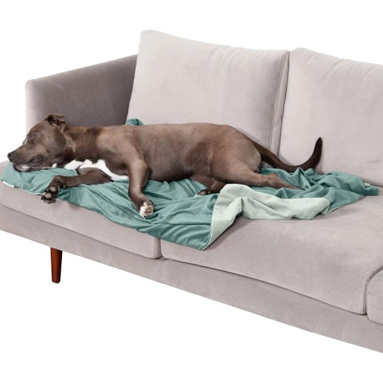 Furhaven XL Waterproof Two-Tone Luxe Velvet Dog Blanket, Washable, Celadon Green, Extra Large Furhaven XL Waterproof Two-Tone Luxe Velvet Dog Blanket, Washable, Celadon Green, Extra Large