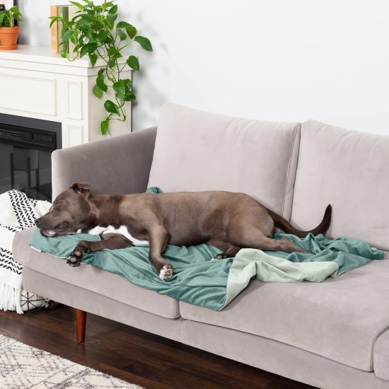 Furhaven XL Waterproof Two-Tone Luxe Velvet Dog Blanket, Washable, Celadon Green, Extra Large Furhaven XL Waterproof Two-Tone Luxe Velvet Dog Blanket, Washable, Celadon Green, Extra Large