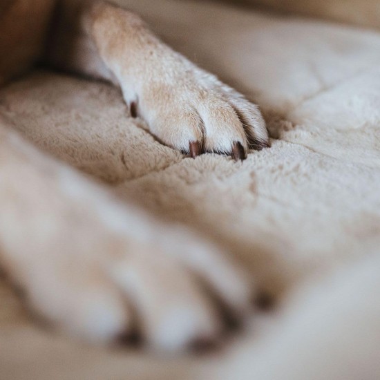 HUNTER Dog mat Vermont Cozy 70x50 cm grey HUNTER Dog mat Vermont Cozy 70x50 cm grey