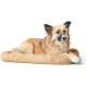 HUNTER Dog mat Vermont Cozy 70x50 cm grey HUNTER Dog mat Vermont Cozy 70x50 cm grey