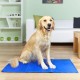 InnovaGoods ig811440 Cooling Mat for Pets, 90 x 50 cm InnovaGoods ig811440 Cooling Mat for Pets, 90 x 50 cm