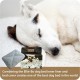 Jumbo Replacement Cow Hide Dog Bed Cover, 60-Inch