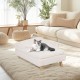 Luxury Cat Sofa, Pet Sofa with Backrest, Plush Cushion, Wooden Legs, Dog Sofa for Small Dogs, Relaxing Chair, Cat Chair for Large Cats, 70 x 40 x 39 cm, Beige