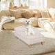 Luxury Cat Sofa, Pet Sofa with Backrest, Plush Cushion, Wooden Legs, Dog Sofa for Small Dogs, Relaxing Chair, Cat Chair for Large Cats, 70 x 40 x 39 cm, Beige