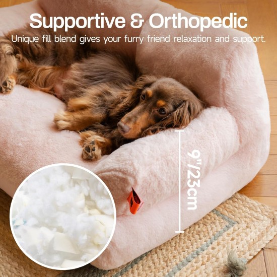 MEWOOFUN Large Cat Bed, Small Dog Sofa, Fluffy and Washable, Cat Sofa, Dog Bed for Cats, Soft Cat Bed, Cat Couch with Non-Slip Underside, White, 66 x 48 cm MEWOOFUN Large Cat Bed, Small Dog Sofa, Fluffy and Washable, Cat Sofa, Dog Bed for Cats, Soft Cat Bed, Cat Couch with Non-Slip Underside, White, 66 x 48 cm